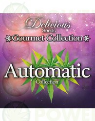 AUTOMATIC STRAINS 1# GOURMET COLLECTION (DELICIOUS SEEDS)