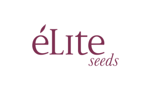 Élite Seeds