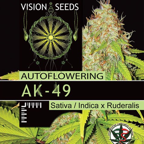 AK-49 (Vision Seeds) Semilla feminizada 1