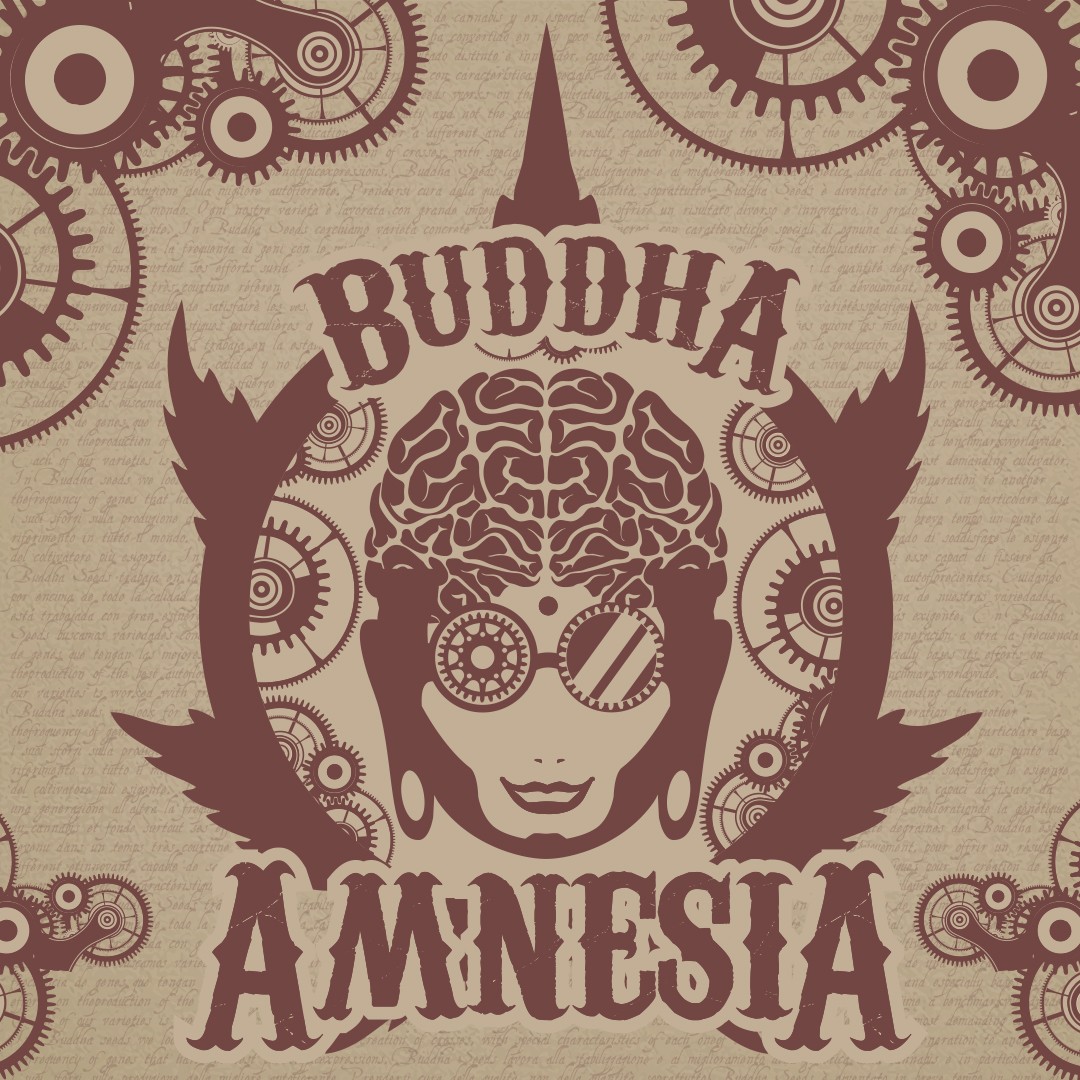 Buddha Amnesia Feminizada Classics (Buddha Seeds) 3