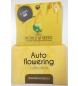 Autoflowering Pack (World of Seeds) Semillas Feminizadas Autoflorecientes 0