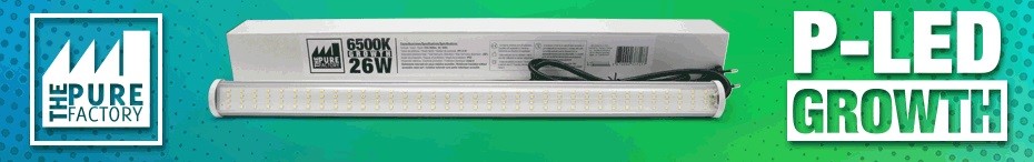 BARRA P-LED 26 W 6500K CRECIMIENTO/GROWTH THE PURE FACTORY 1