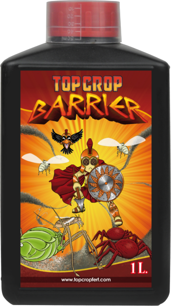 Barrier (Top Crop) 0