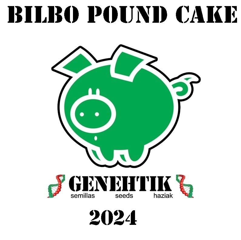 Bilbo Pound Cake Feminizada (Genehtik Seeds)  0
