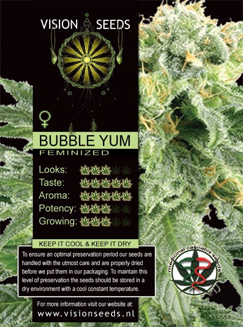 Bubble Yum Vision Seeds Semilla Feminizada de Marihuana 1
