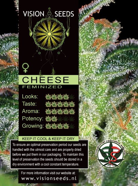 Cheese (Vision Seeds) Semilla Feminizada 1