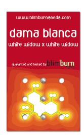Dama Blanca (Blim Burn Seeds) 0