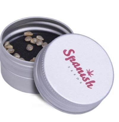 Early Skunk x White Widow (Spanish Seeds) feminizadas granel 50 semillas por paquete 1