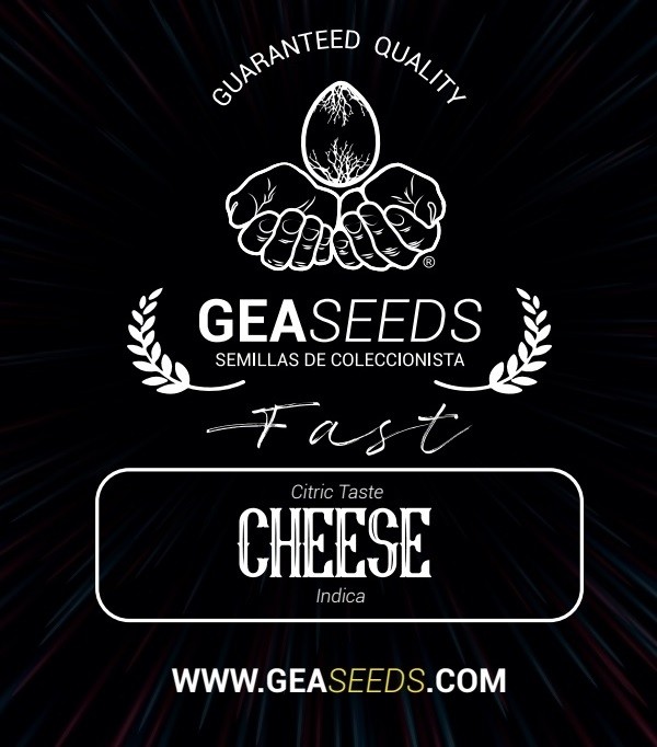 Fast Cheese Feminizada (Gea Seeds) 0