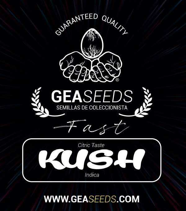 Fast Kush Feminizada (Gea Seeds) 0