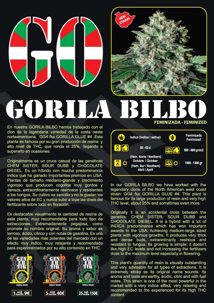 Gorila Bilbo Feminizada (Genehetik Seeds) 1