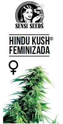 Hindu Kush Feminizada (Sensi Seeds) 0