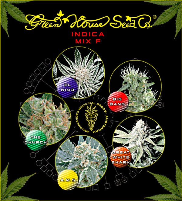 Indica Mix F (Green House Seeds) 1