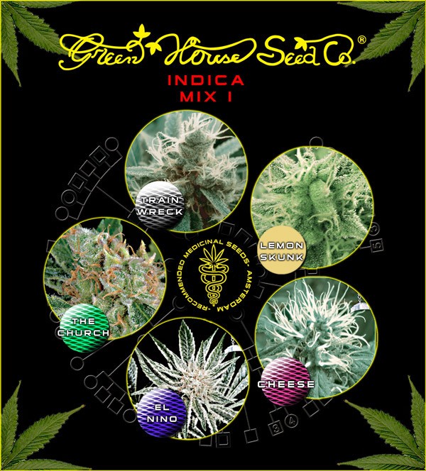 Indica mix I (Green House Seeds) 1
