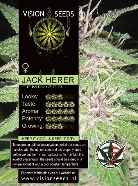 Jack Herer (Vision Seeds) Semilla Feminizada Marihuana Barata 1