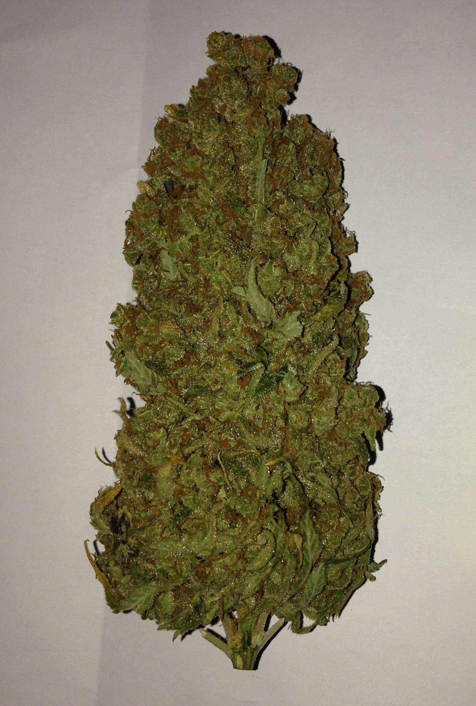 King Kong Five (Mano Verde Seeds) Semilla Feminiza Cannabis-Marihuana 2