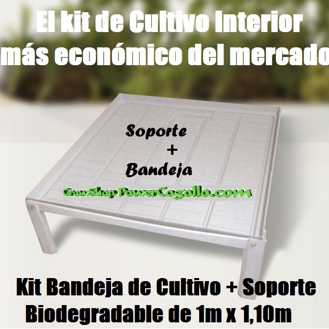 Kit Bandeja de Cultivo + Soporte Biodegradable  0