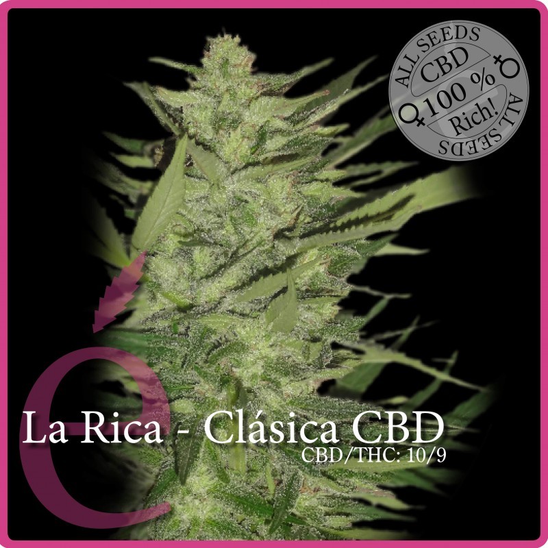 La Rica Clásica CBD (Elite Seeds) 0