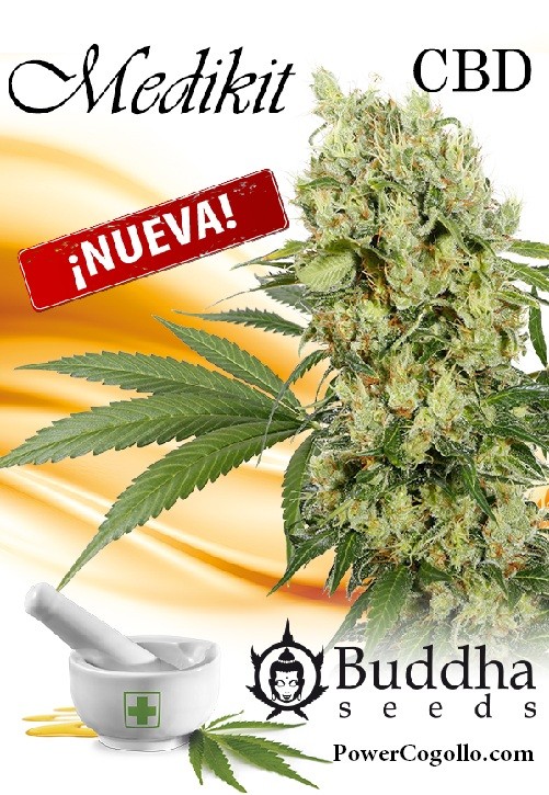 Medikit CBD Feminizada (Buddha Seeds) 0