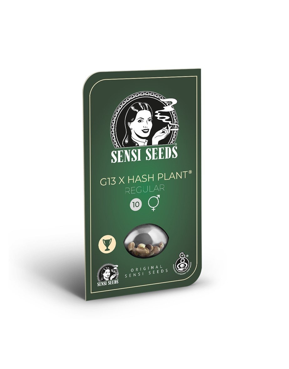 Mr. Nice G13 x Hash Plant (Sensi Seeds) Regular  1