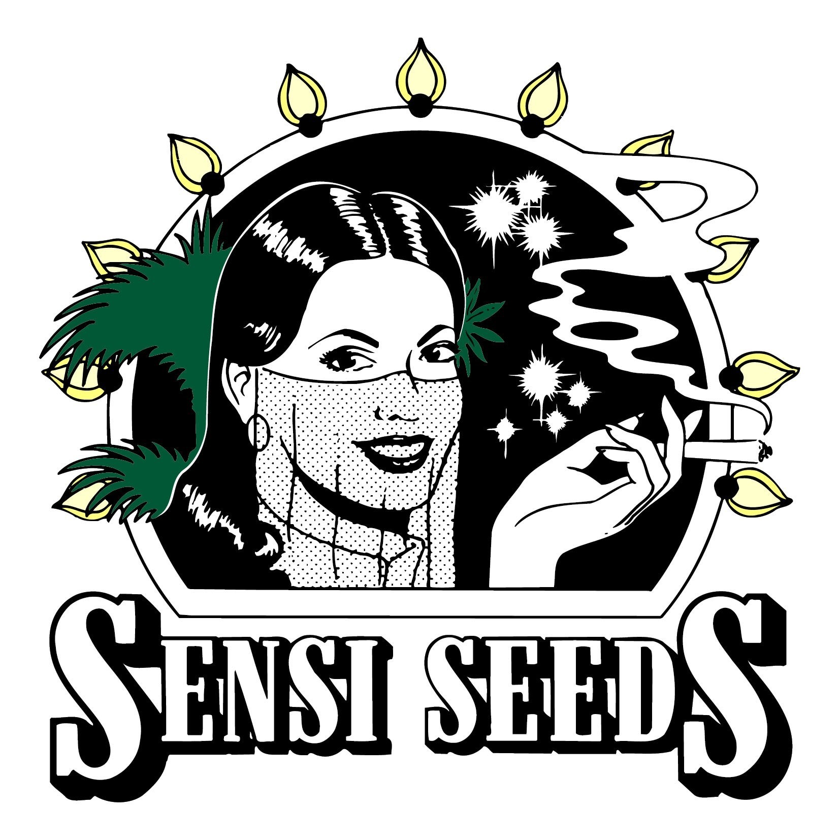 Mr. Nice G13 x Hash Plant (Sensi Seeds) Regular 2