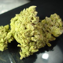No Name (Medical Seeds) Feminizada marihuana 0