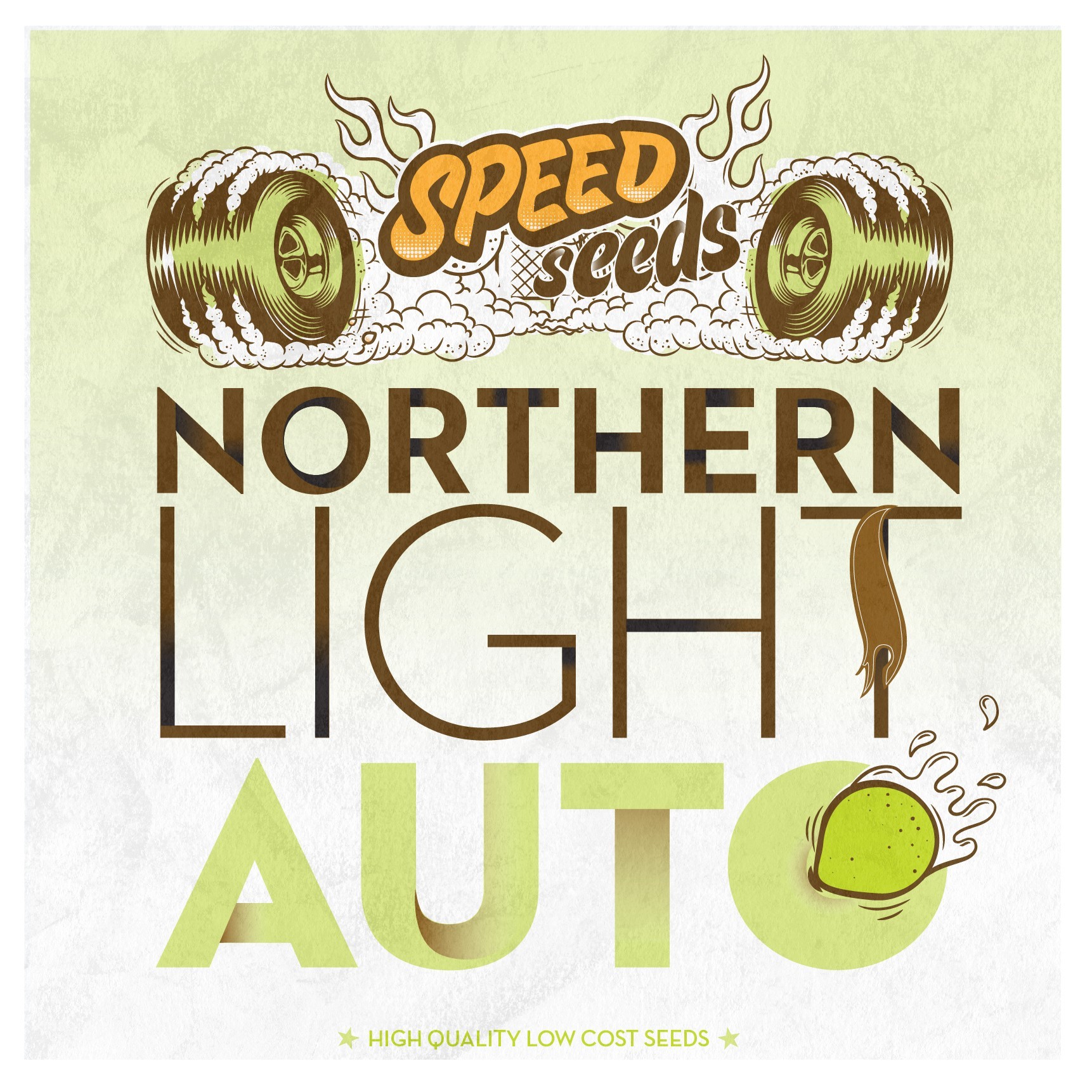 Northern Light Auto 30 unds (Speed Seeds) Semilla Feminizada Automática Marihuana 0