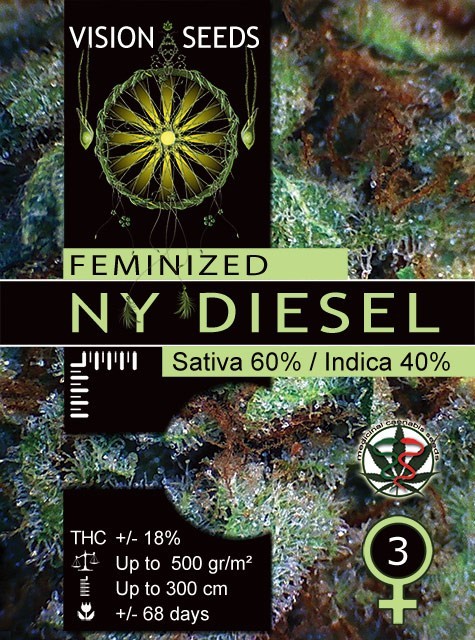 NY Diesel Vision Seeds Semilla Feminizada  1