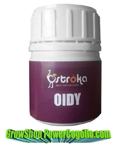 Oidy (Ostroka) Contra Oidio 0