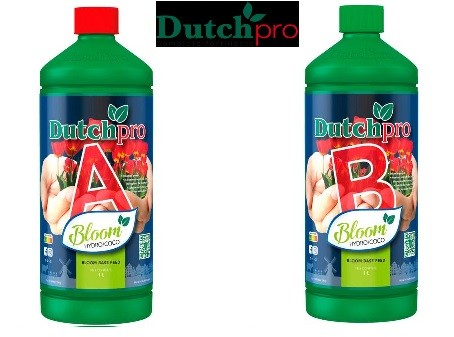 original-bloom-hydro-cocos-ayb-dutch-pro 0