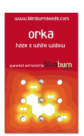 Orka (Blim Burn Seeds) 0