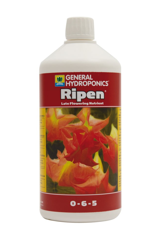 Ripen (Fin Floración) 1