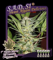 S.A.D. S1 (Sweet Afgani Delicious) 0