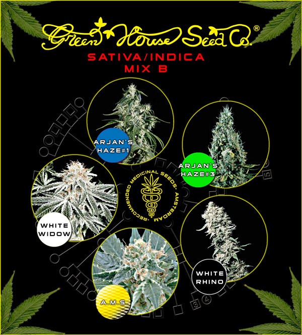 Sativa/Indica Mix B (Green House Seeds) 1