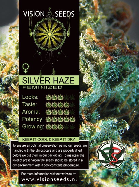 Silver Haze Vision Seeds  1