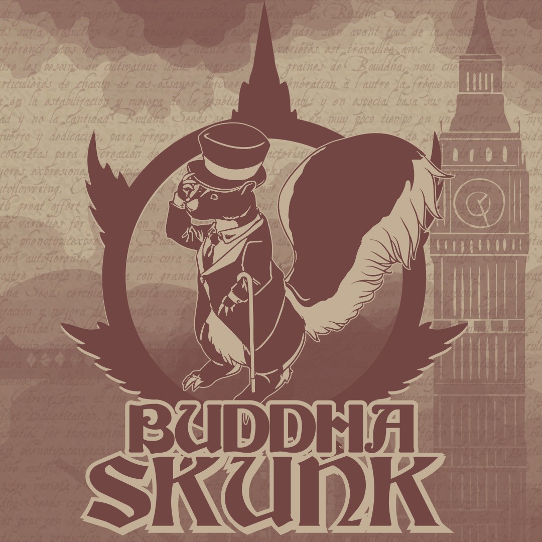 Buddha Skunk Feminizada Classics (Buddha Seeds) 0