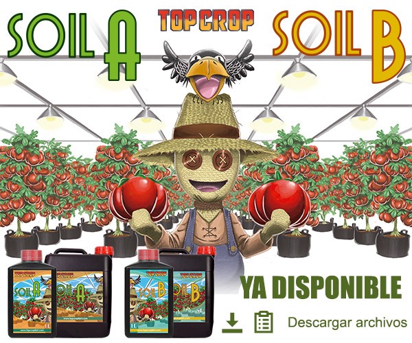 Soil A+B (Top Crop)  0