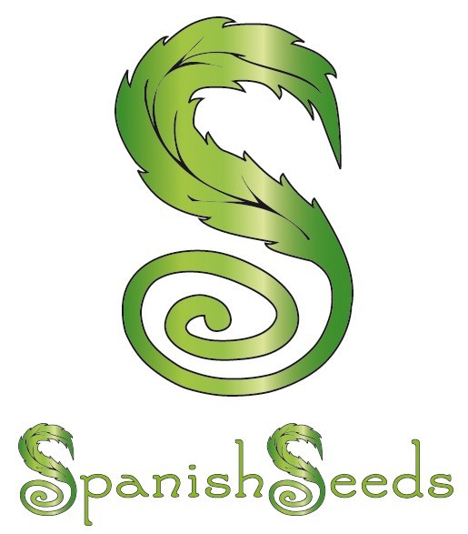 Early Skunk x White Widow (Spanish Seeds) feminizadas granel 50 semillas por paquete 0