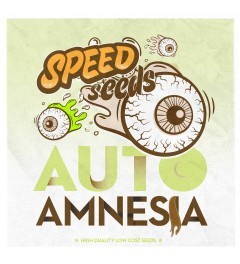 Auto Amnesia Speed Seeds Semilla Feminizada Automática Granel Barata 0