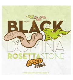 Black Domina x Rosetta Stone 60 unds (Speed Seeds) Semilla Feminizada Granel barata 0
