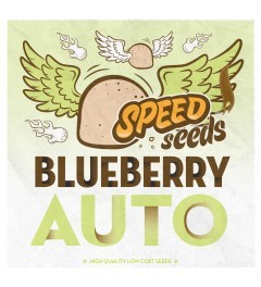Blueberry Auto Speed Seeds Semilla Feminizada Automática Granel Barata 0