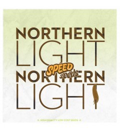 Northern Light x Northern Light 30 unds (Speed Seeds) Semilla feminizada cannabis 0