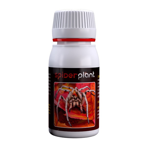 Spider Plant (Agrobacterias) Araña Roja 60ml 1