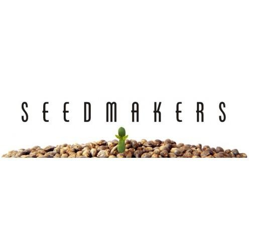 Super Gelato Feminizada (SeedMakers)  1