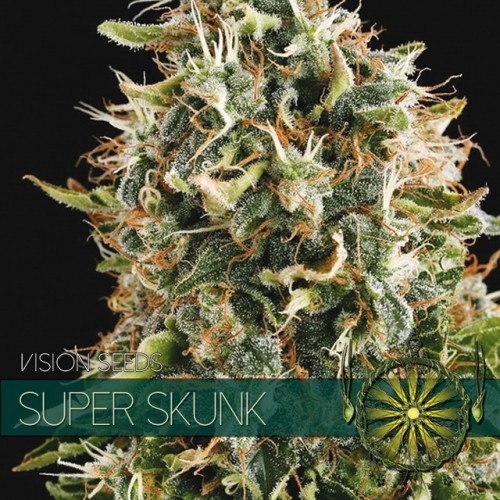 Super Skunk Vision Seeds Semilla Feminizada Marihuana 2