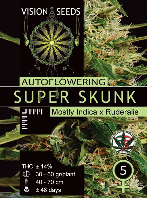 Super Skunk Auto Feminizada (Vision Seeds) 1