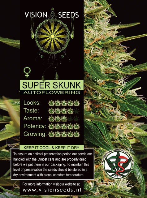 Super Skunk Auto Feminizada (Vision Seeds) 2