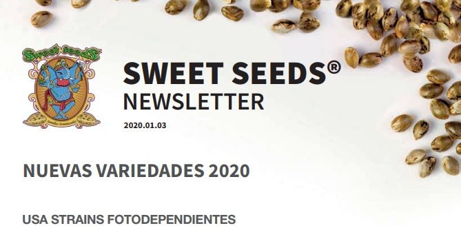 Red Pure Auto CBD (Sweet Seeds) Feminizada 2