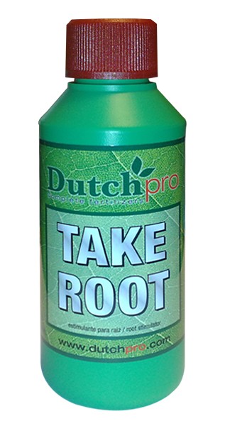 Take Root (Dutch Pro) antigua 2