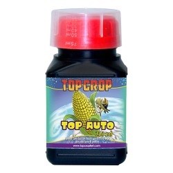 top-auto-250ml-top-crop 0